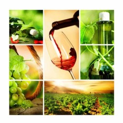 Servetele Lindy Vin, Dimensiune 33x33 cm, 3 Straturi, 20 Foi/Pachet