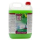 Detergent Sucitesa pentru Pardoseli Aquagen 2D Green Tea, 5 L