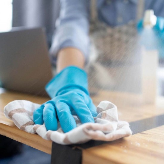 Dezinfectant Sucitesa Suprafete cu Pulverizator Bionet Plus, 1 L