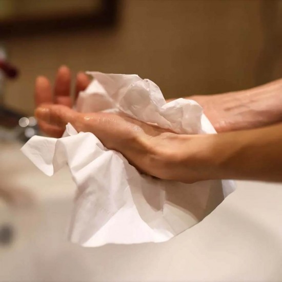 Dispenser Vialli pentru Hartie Igienica Mini MJ1, Dimensiune 24x13x26 cm