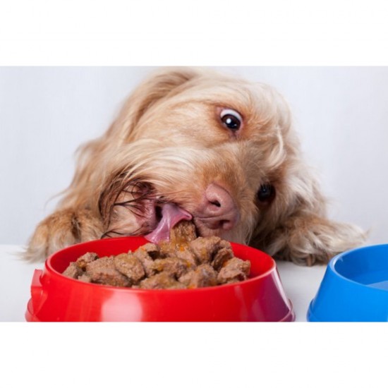 Conserva 4 Dog pentru Caini cu Carne de Vita, 1250 g