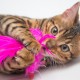 Jucarie Miau Miau HL11 Minge din Plastic pentru Pisica, 4 Buc/Pachet