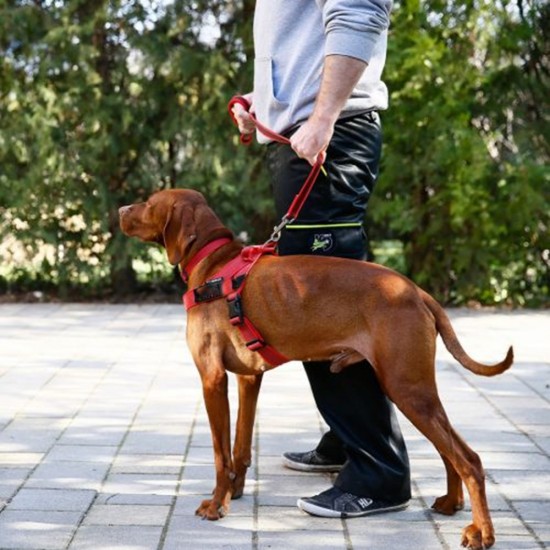 Ham pentru Caini Nr.1 Simplu Rosu