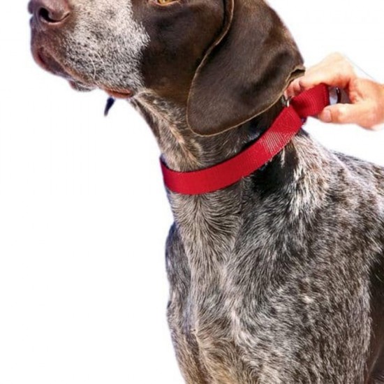 Zgarda pentru Caini Simpla Neagra, 40x630 mm