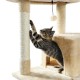 Ansamblu pentru Pisici Miau Miau cu Placa Curbata si Stalp, Dimensiune 43x25x33 cm