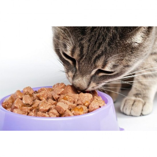 Conserva pentru Pisici Desire Kitten cu Pui File si Aloe, 24 Buc/Bax x 85 g