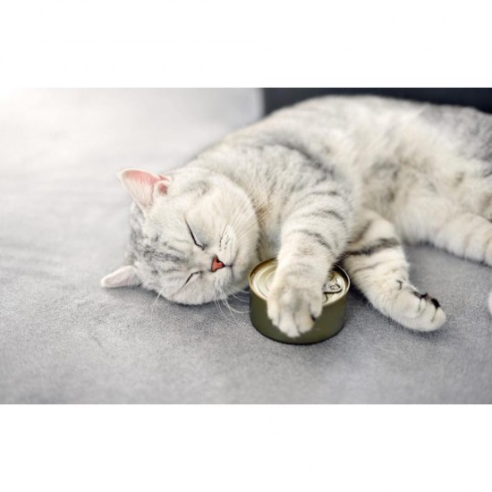 Conserva pentru Pisici Desire cu Pui File si Somon, 24 Buc/Bax x 85 g