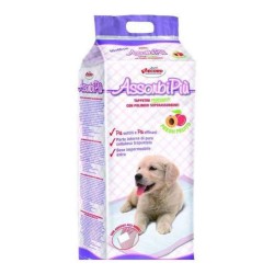 Covorase Absorbante Record, Dimensiune 60x90 cm, 10 Buc/Pachet