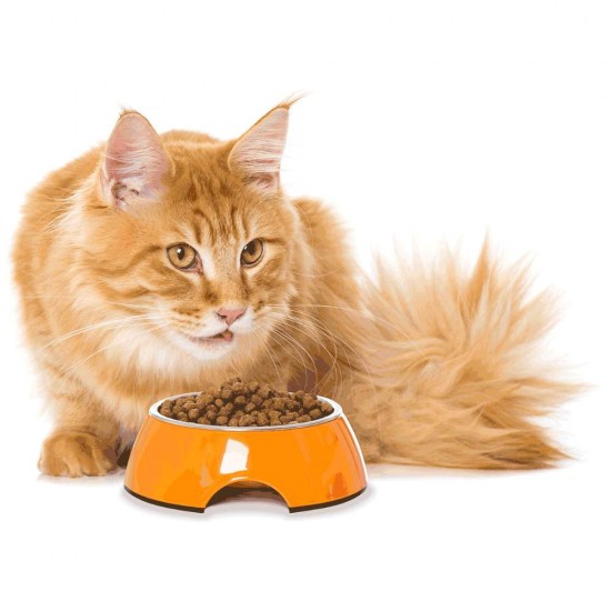 Hrana Uscata pentru Pisici Mera Kitten cu Pui, 2 Kg