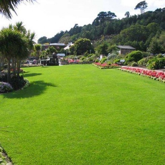 Innbio Ingrasamant Organic pentru Gazon, 1 L