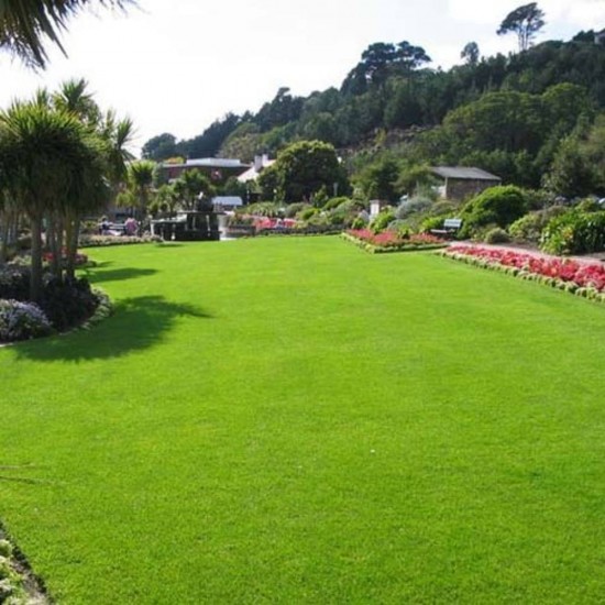 Innbio Ingrasamant Organic pentru Gazon cu Dozator, 2 L