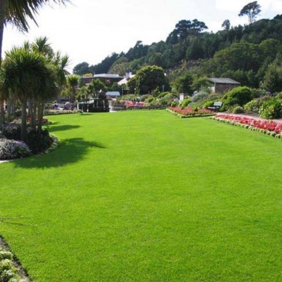 Innbio Ingrasamant Organic Granular pentru Gazon, 2.9 L