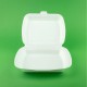 Set 100 Caserole Necompartimentate TSC, 175x140x60 mm, Polistiren