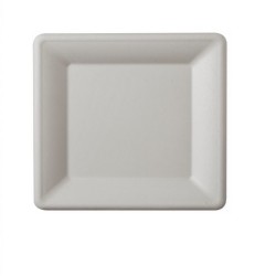 Farfurie Patrata, 25x25 cm, 50 Buc/Set, Farfurie Biodegradabila Alba din Trestie de Zaha - Farfurii Ecologice si Compostabile Farfurie Patrata, 25x25 cm, 50 Buc/Set, Farfurie Biodegradabila Alba din Trestie de Zaha - Farfurii Ecologice si Compostabile