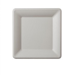 Farfurie Patrata, 15x15 cm, 50 Buc/Set, Farfurie Biodegradabila Alba din Trestie de Zaha - Farfurii Ecologice si Compostabile Farfurie Patrata, 15x15 cm, 50 Buc/Set, Farfurie Biodegradabila Alba din Trestie de Zaha - Farfurii Ecologice si Compostabile