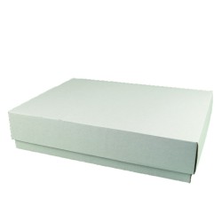 Set 100 Cutii cu Capac, 325x300x65 mm, Carton Alb