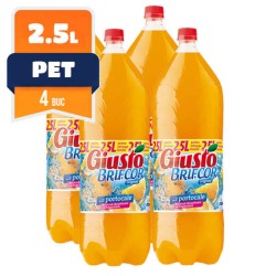Bax 4 Sticle Suc Brifcor Giusto, 2.5 L, PET, Suc Citrice, Suc Portocale, Suc Fructe, Suc Brifcor, Giusto Brifcor Bax 4 Sticle Suc Brifcor Giusto, 2.5 L, PET, Suc Citrice, Suc Portocale, Suc Fructe, Suc Brifcor, Giusto Brifcor