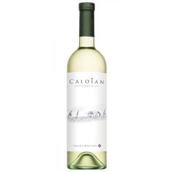 Vin Alb Sec Caloian Sauvignon Blanc, 0.75 L, 14% Alcool, Vin Caloian Sauvignon Blanc, Vin Sauvignon Blanc Caloian, Vin Alb Caloian Sauvignon Blanc, Vin Alb Sauvignon Blanc Caloian, Vin Sec Caloian Sauvignon Blanc, Vin Sec Sauvignon Blanc