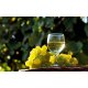 Vin Muscat Ottonel Murfatlar Hora, Alb Demidulce, 0.75 L, 11.5% Alcool, Vin Murfatlar Hora Muscat Ottonel, Vin Alb Murfatlar Hora, Vin Demidulce Murfatlar Hora, Vin Alb Demidulce Murfatlar Hora, Vin Demidulce Alb Murfatlar Hora