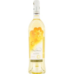 Vin Alb Demidulce, Budureasca Bristena Muscat Ottonel, 0.75 L, Vin Alb Demidulce, Budureasca Bristena Muscat Ottonel, Bauturi Alcoolice, Vin Alb Budureasca, Vin Alb Alcool 13%