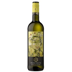 Vin Alb Sec, Regno Recas, Sauvignon Blanc, 0.75 L, Vin Alb Sec, Regno Recas Sauvignon Blanc, Bauturi Alcoolice, Vin Alb Regno Recas, Vin Alb Alcool 12.5%