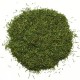 Marar Uscat Aroma Spice, 1Kg, Aroma Spice Marar Uscat, Condimente si Ingrediente, Marar Uscat 1Kg, Marar Deshidratat, Verdeturi Uscate pentru Gatit, Verdeturi si Plante Aromatice