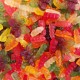 Jeleuri Zane Trolli Squiggles, 100 g