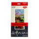 Vopsea Tempera Artisti DACO, 10 Culori/Set, 22 ml/Tub, Multicolor,  Set Tempera, Acuarele Tempera, Tempera Acuarele, Tempera Tub, Culoare Tempera, Tempera, Acuarele, Culori Tempera, Vopsele Tempera, Culori pentru Pictura