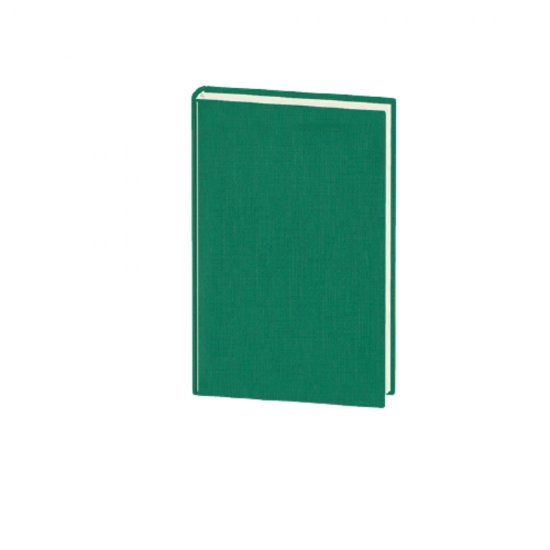 Agenda A5 Zilnica Ego Basic, Datata 2022, 352 File, Verde, 7 Pagini Color, 70 g/m², Coperta Imitatie Piele, Agenda Planificari, Agenda Planificari Zilnice, Agenda A5, Agenda A5 Zilnica, Agenda A5 Planificari, Agenda Dictando