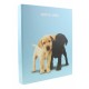 Caiet Mecanic A4 FAVINI Amico Mio, 4 Inele de Prindere, Coperta Cartonata, Caiete Mecanice, Caiete Mecanice A4, Caiet Mecanic cu Inele, Caiet Mecanic A4 Inele, Caiet Tip Mapa, Agenda Mecanica, Agenda Mecanica A4, Biblioraft