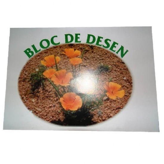 Bloc pentru Desen, Format A3, 16 File, 100 g/m² - Caiet pentru Arte Plastice