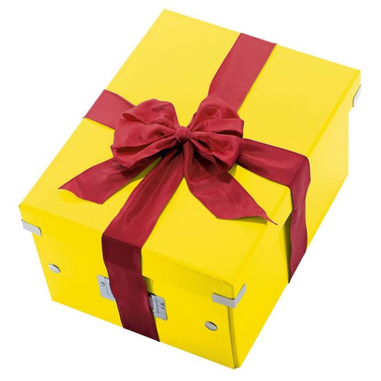 Cutie Depozitare Mare din Carton Solid Laminat Leitz Click and Store, 369x200x482, Galben, Cutie Carton Clasica, Cutie Depozitare Colorata, Cutie Mare pentru Obiecte, Cutie Mare Simpla, Cutie Rezistenta