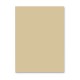 Hartie Cartonata FAVINI, Bej, 70x100 cm, 10 Coli/Top, 220 g/m², Carton Colorat, Carton Colorat 70x100, Hartie Cartonata Colorata, Hartie 70x100 Colorata, Coli Colorate, Top Hartie Cartonata, Coli Cartonate 70x100 cm, Hartie Cartonata Bej