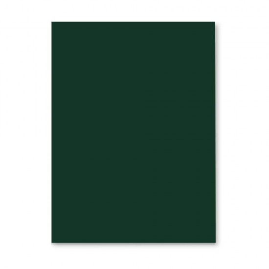 Hartie Cartonata A4 DACO, Verde Padure, 250 Coli/Top, 160 g/m², 210x297 mm, Carton Colorat, Carton Colorat A4, Hartie Cartonata Colorata, Hartie A4 Colorata, Coli Colorate, Top Hartie Cartonata, Coli Cartonate A4, Hartie Cartonata Verde