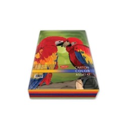 Hartie Cartonata A4 DACO, 50 Coli/Top, 240 g/m², Diverse Culori, Hartie Carton Colorat, Carton Colorat A4, Hartie Cartonata Colorata A4, Hartie Colorata A4, Top Coli Colorate Cartonate A4, Top Hartie Colorata, Foi Cartonate, Hartie Cartonata Colorata A4 Hartie Cartonata A4 DACO, 50 Coli/Top, 240 g/m², Diverse Culori, Hartie Carton Colorat, Carton Colorat A4, Hartie Cartonata Colorata A4, Hartie Colorata A4, Top Coli Colorate Cartonate A4, Top Hartie Colorata, Foi Cartonate, Hartie Cartonata Colorata A4