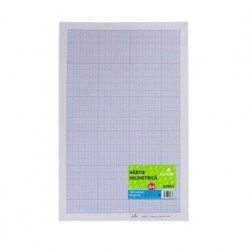 Hartie Milimetrica A4 ECADA, 100 Coli/Top, 60 g/m², Hartie Milimetrica pentru Desen Tehnic, Hartie Milimetrica pentru Schite, Foaie Milimetrica, Hartie Speciala, Coli Milimetrice, Foi Milimetrice A4, Produse din Hartie, Instrumente de Desen si Proiectare