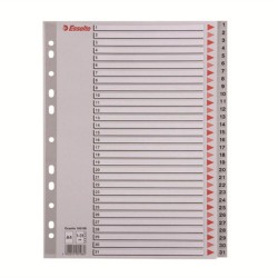 Index A4 Esselte, cu 31 Separatoare, Plastic, Gri, Index de Plastic cu Separatoare 1-31, Index de Plastic Numerotat cu Separatoare, Index de la 1 la 31, Index Arhiva, Index Dosar, Index Caiet Mecanic, Index Organizare, Index Biblioraft