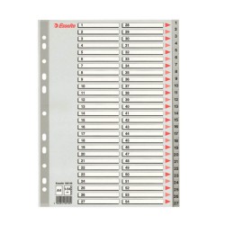 Index A4 Esselte, cu 54 Separatoare, Plastic, Gri, Index de Plastic cu Separatoare 1-54, Index de Plastic Numerotat cu Separatoare, Index de la 1 la 54, Index Arhiva, Index Dosar, Index Caiet Mecanic, Index Organizare, Index Biblioraft