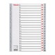 Index A4 Esselte, cu 20 Separatoare, Plastic, Gri, Index de Plastic cu Separatoare 1-20, Index de Plastic Numerotat cu Separatoare, Index de la 1 la 20, Index Arhiva, Index Dosar, Index Caiet Mecanic, Index Organizare, Index Biblioraft