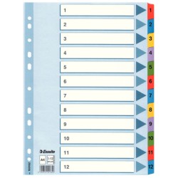 Separatoare Index din Carton Esselte Mylar, A4, Tip Index 1-12, Taste Laminate, Multicolor, Separator Index, Separatoare Carton Index, Separatoare Esselte, Separatoare Esselte Mylar, Separatoare Index Multicolor, Despartitoare din Carton 