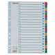 Separatoare Index din Carton Esselte Mylar, A4, Tip Index 1-20, Taste Laminate, Multicolor, Separator Index, Separatoare Carton Index, Separatoare Esselte, Separatoare Esselte Mylar, Separatoare Index Multicolor, Despartitoare din Carton 