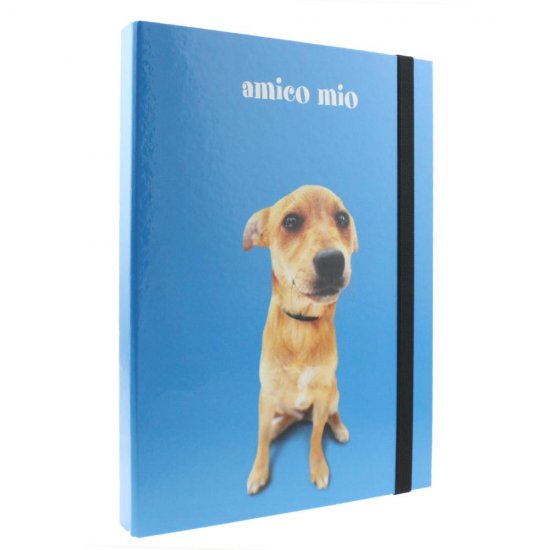 Mapa A4 din Carton Favini Amico Mio, Cotor 3 cm, Diverse Modele, Mapa Carton, Mape A4, Mape cu Elastic, Mapa cu Elastic, Mape Carton, Mape Documente, Mape Favini, Mape cu Model, Mapa Documente, Mapa Portofoliu, Mape Portofoliu, Mapa Acte