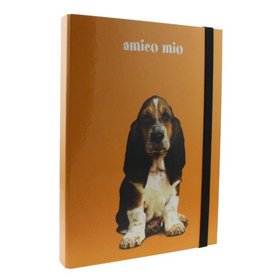 Mapa A4 din Carton Favini Amico Mio, Cotor 3 cm, Diverse Modele, Mapa Carton, Mape A4, Mape cu Elastic, Mapa cu Elastic, Mape Carton, Mape Documente, Mape Favini, Mape cu Model, Mapa Documente, Mapa Portofoliu, Mape Portofoliu, Mapa Acte