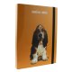 Mapa A4 din Carton Favini Amico Mio, Cotor 3 cm, Diverse Modele, Mapa Carton, Mape A4, Mape cu Elastic, Mapa cu Elastic, Mape Carton, Mape Documente, Mape Favini, Mape cu Model, Mapa Documente, Mapa Portofoliu, Mape Portofoliu, Mapa Acte