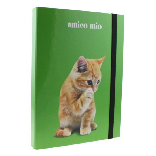 Mapa A4 din Carton Favini Amico Mio, Cotor 3 cm, Diverse Modele, Mapa Carton, Mape A4, Mape cu Elastic, Mapa cu Elastic, Mape Carton, Mape Documente, Mape Favini, Mape cu Model, Mapa Documente, Mapa Portofoliu, Mape Portofoliu, Mapa Acte