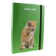 Mapa A4 din Carton Favini Amico Mio, Cotor 3 cm, Diverse Modele, Mapa Carton, Mape A4, Mape cu Elastic, Mapa cu Elastic, Mape Carton, Mape Documente, Mape Favini, Mape cu Model, Mapa Documente, Mapa Portofoliu, Mape Portofoliu, Mapa Acte