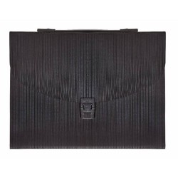 Mapa Plastic A4 Factis, 13 Compartimente si Maner, Neagra, Mape din Plastic, Mape pentru Acte, Dosar Compartimente, Mapa cu Maner, Mapa Scolara, Mapa Arhivare Documente, Dosar Mapa Plastic, Mapa Tip Servieta, Mapa Tip Proiect