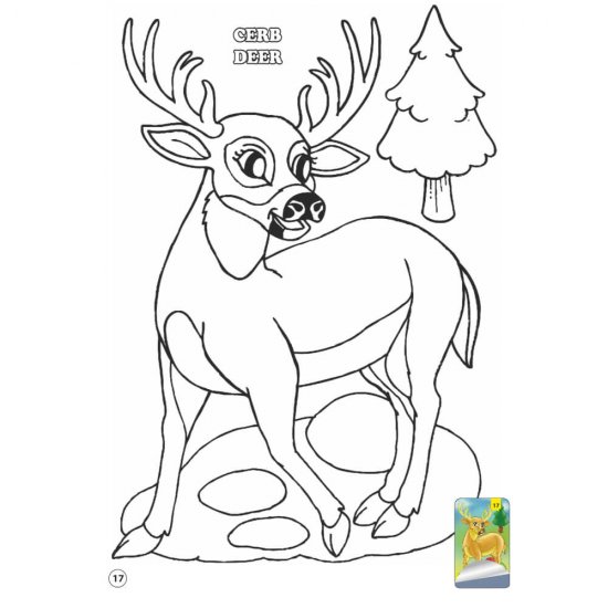 Carte de Colorat A4, 80 Pagini cu Animale si Abtibilduri, Vol.3