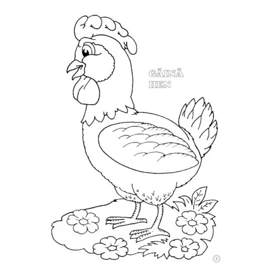 Desene Mari pentru Cei Mici, Animale Domestice, Carte de Colorat B5