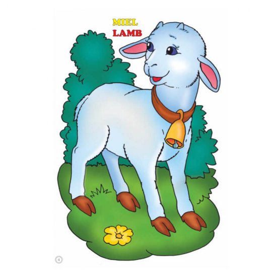 Desene Mari pentru Cei Mici, Animale Domestice Pui, Carte de Colorat B5